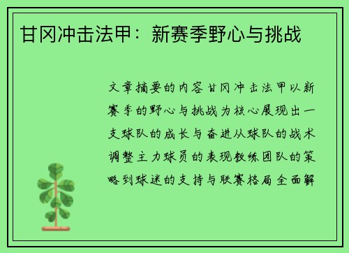 甘冈冲击法甲：新赛季野心与挑战