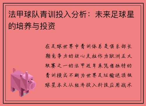 法甲球队青训投入分析：未来足球星的培养与投资